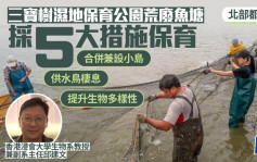 北都｜三寶樹濕地保育公園荒廢魚塘採5大措施  合併兼設小島  提升生物多樣性