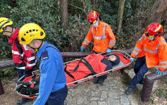 龙虾湾青年赏日出堕30米山坡受伤 消防救起送院