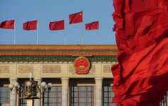 中國觀察：機構改革 國安委實體化？