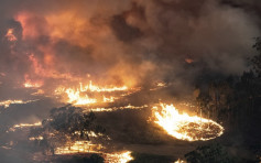 澳洲山火未来数天或恶化 新南威尔斯及维多利亚省度假区大疏散