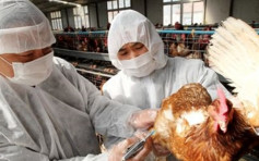 惠州现H5N6禽流感病例 专家研判传播风险较低