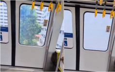新加坡輕軌車窗會「變色」?! 為保障居民私隱