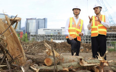环团批评启德存放塌树弃堆填区是浪费园林资源