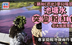 夏威夷驚現神秘「夢幻粉水塘」 引民眾朝聖  專家提醒勿踫勿飲