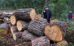 農夫山泉國家公園違規開挖林木被武夷山公安查處