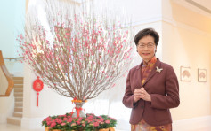 林鄭月娥發表新年賀詞 指相信團結一致香港可牛氣再現