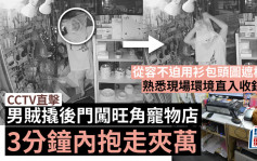 CCTV直擊｜男賊闖旺角寵物店3分鐘內抱走夾萬 從容不迫用衫包頭圖遮樣