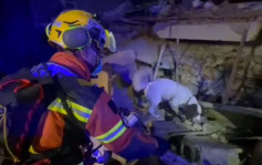 土耳其地震｜特区救援队抵灾场瓦砾堆中搜救 出动搜救犬及无人机
