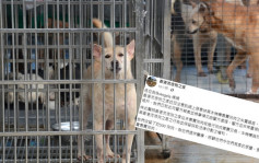 網店疑賣狗肉｜被指轉數快號碼涉案 香港流浪狗之家稱遭盜用：已報警