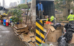 荃灣永德街政府圍封空地現鼠患 環境衞生辦清垃圾填鼠洞