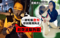 劉小慧護名種犬用「驅狗器」嚇走唐狗  遭網民鬧爆急道歉解釋