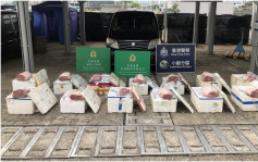 蚂蚁搬家｜西贡岸边检200万走私内地和牛牛肉 44岁男子被捕