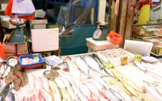 【宰鲜鱼指引】渔护署澄清：从未建议先电晕活鱼再宰杀