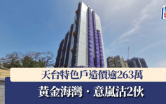 黃金海灣．意嵐沽2伙 天台特色戶造價逾263萬