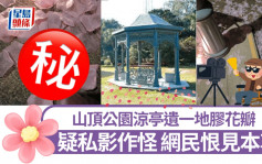 山頂公園涼亭粉紅色浪漫 遺一地膠花瓣 網民眼火爆疑私影作怪｜Juicy叮