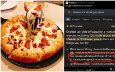Google AI搜索闯祸︱建议网友吃石头、毒蘑菇  把胶水加到披萨上