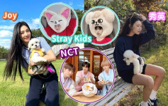 秀英Joy攬愛犬過中秋節   NCT整松餅Stray Kids扮動物