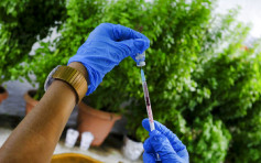 4人打针后仍染疫死亡 法国衞生部门调查强生疫苗效力