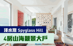 睇樓王｜淺水灣Spyglass Hill  4房山海靚景大戶