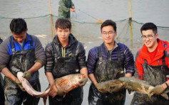  武漢科技大學舉行「泌湖魚宴」 師生共享1.9萬份魚餚