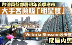 启德两盘部署明年首季应市 大手客频吸「明星盘」Victoria Blossom及天玺．天成焦点