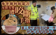 安徽11个月女婴遭宠物兔咬断手指  家人慌乱送医忘记……