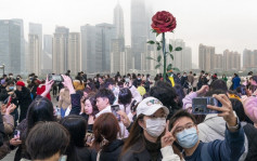 打卡上海外滩巨型玫瑰 为情人节留下浪漫瞬间