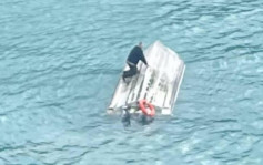 紐西蘭觀光船疑遭鯨魚撞翻 11遊客墮海5人死 