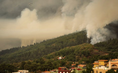西班牙特內里費山火蔓延速度減 當局疏散近4500名居民