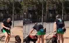 【有片】网传导盲犬训练员粗暴扯狗带转身 狗狗发出惨叫