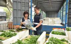 食衞局拟放宽日本4个县蔬果奶品进口 福岛食品仍然禁售