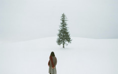 再爆港人闯北海道私人农地拍照 日摄影师忧累「圣诞树」被斩