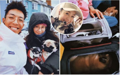 歐陽巧瑩帶兩愛犬移民英國堅持不棄養  黃心穎蒲頭給讚支持  