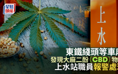 大麻二酚（CBD）物品被弃东铁綫头等车厢 上水站职员报警处理