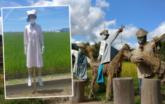日本網民分享農田另類「稻草人」 網民：白天也毛骨悚然