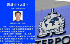 国际刑警发布红色通报 全球追捕疑犯王世君