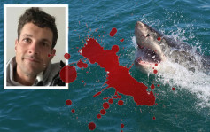 澳洲雪梨泳客惨被鲨鱼拖走咬成两截 近60年首见