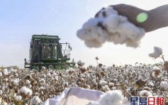 中国棉花协会：强烈谴责美政府以人权之名打压中国棉花纺织产业