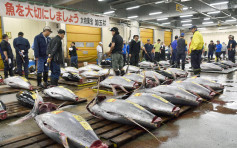 【鲜味83载】东京筑地市场谢幕 结业日卖出728条冷冻蓝鳍吞拿鱼