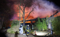 德国动物园大火 逾30只动物被烧死