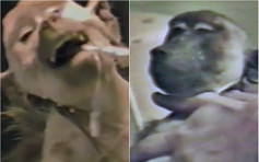 PETA：用狒狒做实验致脑部受损挣扎抽搐 研究人员拍片嘲笑