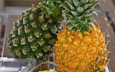 台研究指每日食菠蘿可減輕飛蚊症病情達7成