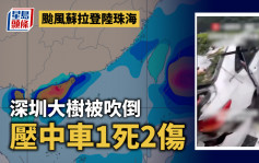 颱風蘇拉︱強風吹倒大樹致深圳1死2傷