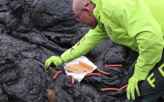 冰島火山爆發成景點 有人用火山岩煎腸仔