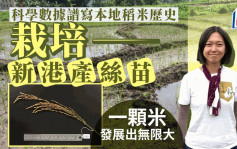 每日雜誌‧人物誌｜藝術家栽培新港產絲苗  一顆米發展出無限大