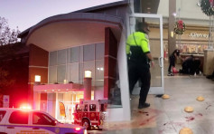 美国黑色黑期五2商场爆枪击案 7人受伤