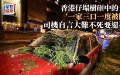 黄雨｜香港仔塌树砸中的士 一家三口一度被困 司机自言大难不死要还神