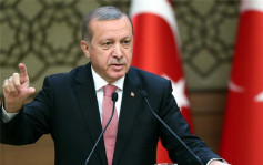 土耳其总统埃尔多安突提前1年大选