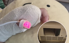 未察覺安全隔板脫落 新加坡5歲女童食指被廁所乾手機絞斷