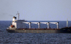 烏克蘭首艘運糧船抵達土耳其 伊斯坦布爾附近接受聯合檢查
